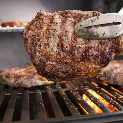 Genesis E-315 Gasgrill