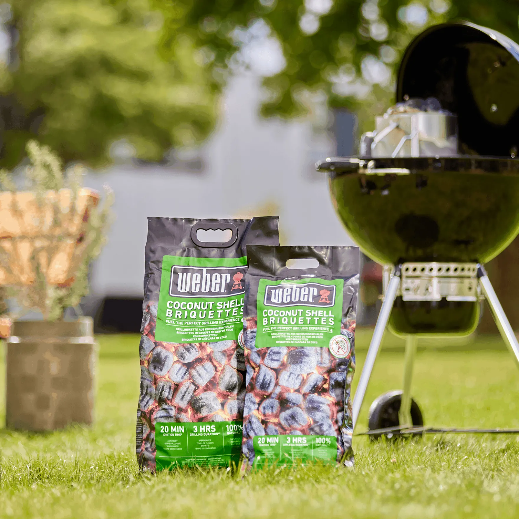 Grillbriketts aus Kokosnussschalen