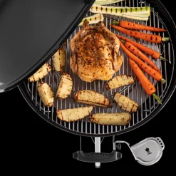 iGrill Halterung