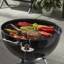 iGrill Mini