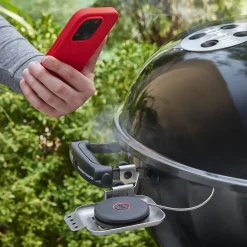 Intelligenter Temperaturfühler und Grillrostsensor
