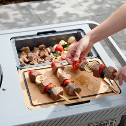 Performer Premium Holzkohlegrill Ø57cm