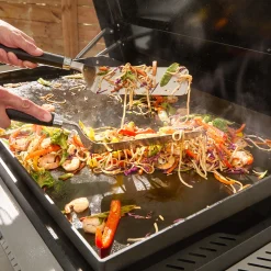 Plancha-Wender-Set