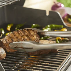 Precision Grillzange
