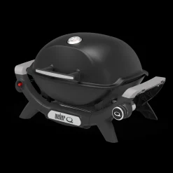 Q 1100N Gasgrill