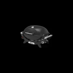 Q 2100N Gasgrill