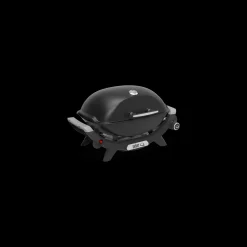 Q 2100N Gasgrill