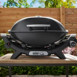 Q 2100N Gasgrill