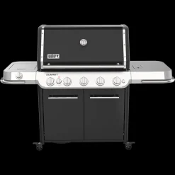 Summit FS38 E Gasgrill