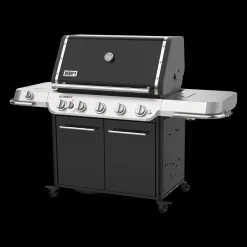 Summit FS38 E Gasgrill