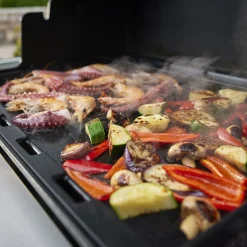 Summit FS38 E Gasgrill