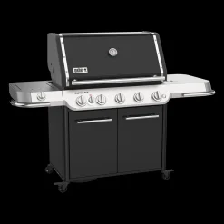 Summit FS38 E Gasgrill