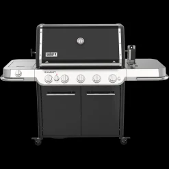 Summit FS38 E Gasgrill