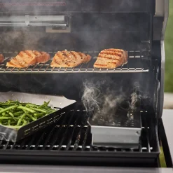 Summit FS38 S Gasgrill