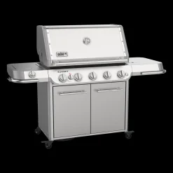 Summit FS38 S Gasgrill