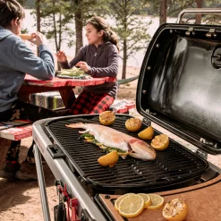 Weber Traveler Gasgrill